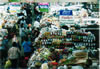 This is amarket for Thai people mainly,  the tourist market is the night market where I spent a little too much.