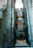 This buddha was rocking. It is in asort of enclousure which I figureprotected itfrom theelements at somepoint. 